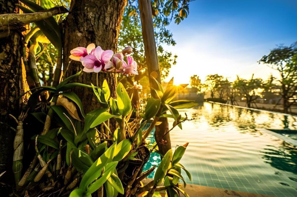 Chatnipa Beach Resort By Morseng Ban Hat Lek Dış mekan fotoğraf